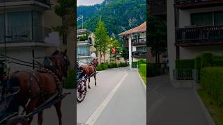 🇨🇭Beautiful evening walk in the breathtaking municipality of Unterseen  Bern  Switzerland🇨🇭 [upl. by Carlo]