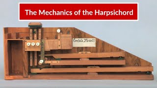 The Mechanics of the Harpsichord [upl. by Sheaff]