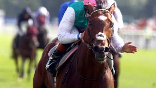 Frankel documentary The horse of the century [upl. by Suedama459]