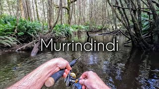 Murrindindi River Fishing [upl. by Annaxor]