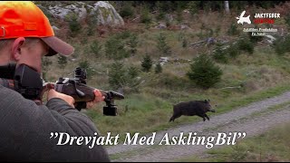 quotDrevjakt Med Askling Bil I Östergötlandquot Följ med jaktfeber på Drevjakt [upl. by Dhu697]