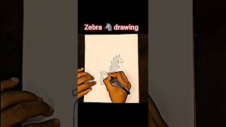 how to draw zebra 🦓 drawing  zebradrawing zebravideo shorts [upl. by Helgeson]