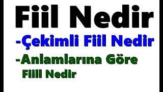 Fiil Nedir Çekimli ve Anlamlarına Göre Fiiller [upl. by Kevin]