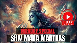 🔴 LIVE 🔴MONDAY SPECIAL LORD SHIVA MANTRA FOR MONEY PROSPERITY amp SUCCESS [upl. by Sidwell]