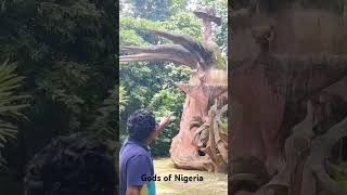 Gods of Nigeria youtubeshorts africa tamil viralvideo trending shortsfeed [upl. by Ecitnirp482]