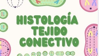 Histología del Tejido Conectivo Estructura y Función [upl. by Nicolina]