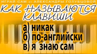 Как называются клавиши фортепиано note names musical alphabet piano keys playing keyboard academy [upl. by Nerehs]