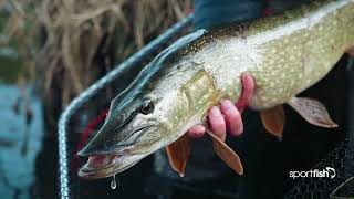 Jo Stephensons Winter Pike Fishing Tactics [upl. by Wendelin966]