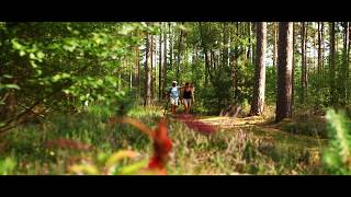 Clip touristique Pays Sancerre Sologne [upl. by Wrench391]