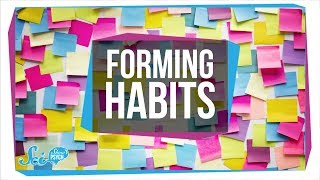 How to Form a Habit [upl. by Valtin]