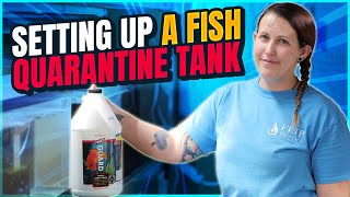 The WHY and HOW to a Quarantine Tank for Freshwater Fish [upl. by Lodnar245]