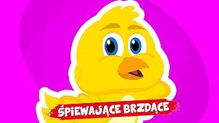 Śpiewające Brzdące  Żółty kurczaczek 😍😍😍 Piosenki dla dzieci [upl. by Nnail]