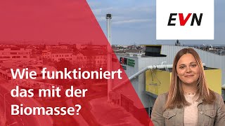 Wie funktioniert das mit der Biomasse  Energiewissen für di und mi [upl. by Eelyme]