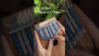 Kalimba cover Bach Minuet in G major beginner kalimba tutorial meditation relaxing musictherapy [upl. by Eelir901]