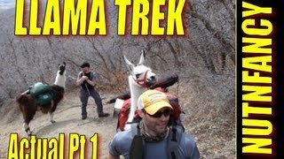 quotLlama Trek Actual Part 1quot by Nutnfancy [upl. by Higley]