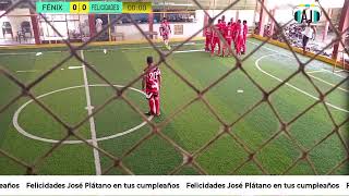 Gran Semifinal Torneo Golito La Independencia 2024 Fénix vs Federales [upl. by Trudie382]