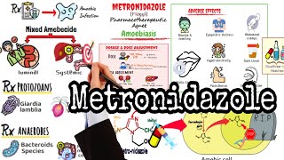 Metronidazole Flagyl Pharmacology  Mechanism of Action  Amebiasis Treatment [upl. by Mure]