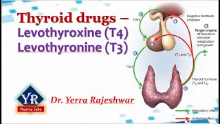 Thyroid drugs  Thyroxine amp Thyronine  YR Pharma Tube  Dr Yerra Rajeshwar  Dr YR [upl. by Binah]