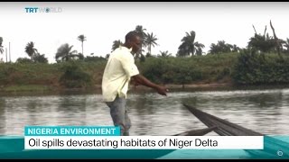 Nigeria Environment Oil spills devastating habitats of Niger Delta [upl. by Malda]