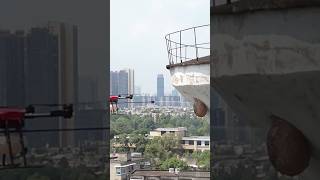 See how a beehive is removed using a drone 😱 shorts [upl. by Bohannon]