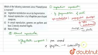 Which of the following statements about Phaeophyceae is incorrect  11  PLANT KINGDOM  BIOLOG [upl. by Schiro94]