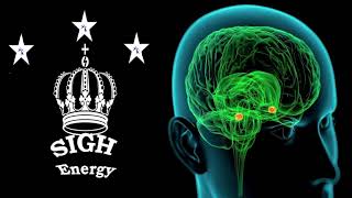 Amygdala Healing and regeneration EXTREMELY POWERFUL Energetically Programmed [upl. by Eedia461]