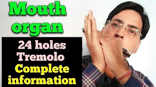 24 holes mouth organ lesson Complete information for 24 holes tremolo mouth organ [upl. by Lenna775]