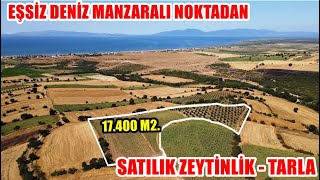 DENİZ MANZARALI İÇİNDE YETİŞMİŞ ZEYTİN AĞAÇLI 17400 M2 SATILIK TARLA [upl. by Htebazila]