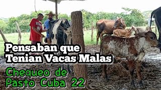 Pensaban que sus Vacas No eran tan Buenas Análisis de Pasto Cuba 22 [upl. by Papagena723]