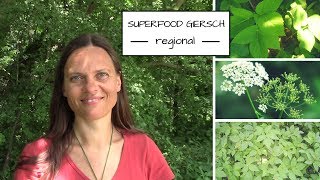 Der Giersch  regionales Wildkraut und Superfood 🌿 [upl. by Biagi816]