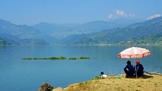 walking in Pokhara Nepal [upl. by Yartnoed]