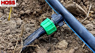 How to Install a Simple Drip Irrigation System for Your Vegetable Garden [upl. by Ewall]