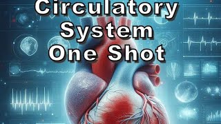 Circulatory System  One Shot  Class 10  Blood Function [upl. by Onitsuaf]