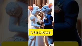 CAT DANCE VIDEO  Cat Dance cat catdance shorts short shortvideo shortsvideo [upl. by Enaj]