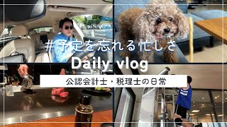 【会計士VLOG】仕事×勉強×トレーニング×遊びの独立会計士ルーティーン【公認会計士小山あきひろ】 [upl. by Thurlough735]