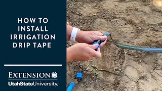 How to Install a Drip Tape Irrigation System [upl. by Kcirddahc26]