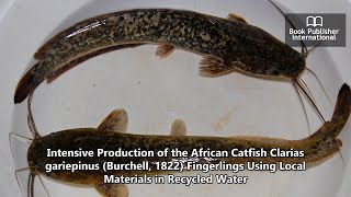 Intensive Production of the African Catfish Clarias gariepinus Burchell 1822 [upl. by Hungarian]