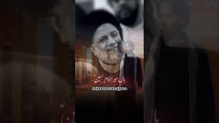 Hasan nasrullah 🥺💔 yaabbasع yaali islamlove Hassan nasrullah 🥺 [upl. by Constantina443]