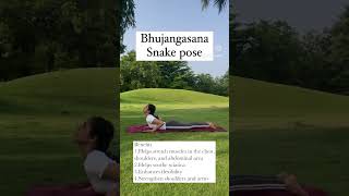 Bhujangasana  Cobra Pose  Presented by Khyati Bharedwaj  Just Sudha Yoga [upl. by Adnilak]