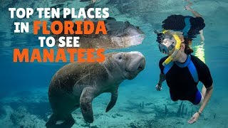 Top Ten places in Florida to see Manatees [upl. by Monto295]