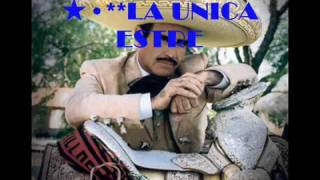 ✳✬LA UNICA ESTRELLA✳✬ VICENTE FERNANDEZ [upl. by Waltner580]