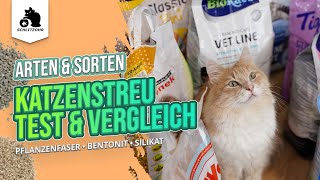 🔥Katzenstreu TestVergleich  Testsieger  beste Katzenstreu ist eine Klumpstreu Unsere Erfahrungen [upl. by Zashin]