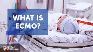 What is ECMO  Boston Childrens Hospital [upl. by Socher]