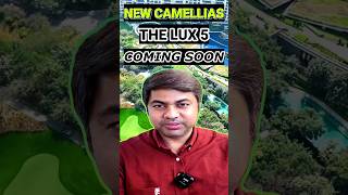 DLF Will Launch Camellias 2 More Luxury Than Camellias 1  propertylenden [upl. by Fleeman]