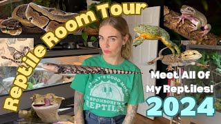 Reptile Room Tour 2024 Meet All Of My Reptiles [upl. by Yuma343]