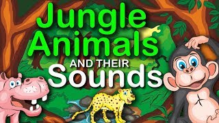 Jungle Animals and their Sounds  learning for kids [upl. by Bernhard]