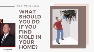 What Should You Do If You Find Mold in Your Home  Toxic Mold Attorney [upl. by Adyela]