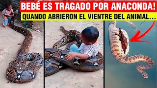 Bebé es TRAGADO por una anaconda pero cuando abren la barriga de la serpiente sucede lo inesperado [upl. by Orsino]