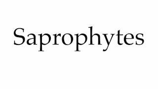 How to Pronounce Saprophytes [upl. by Medor]