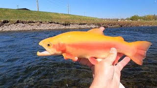 FLY FISHING BRODHEAD CREEK quot The Boys are Back in Townquot [upl. by Silvanus]